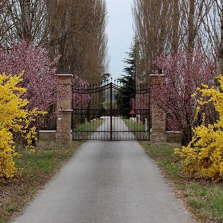 Agriturismo Corte Rocca San Giorgio di Mantova Exterior photo