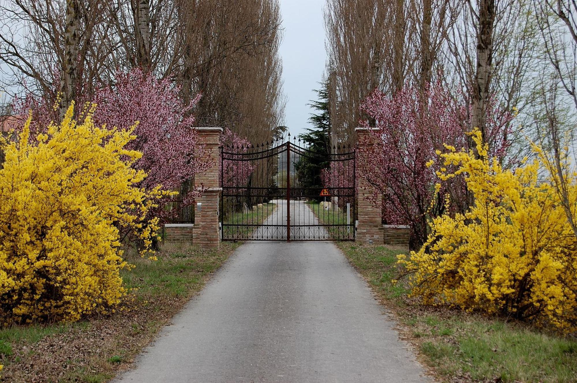 Agriturismo Corte Rocca San Giorgio di Mantova Exterior photo